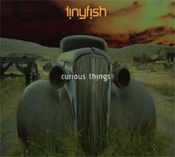 Tinyfish : Curious Things